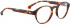 Entourage of 7 CARLOS Glasses in Brown