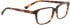 Entourage of 7 GRACE Glasses in Brown
