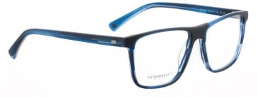 Entourage of 7 GRIFFITH Glasses in Blue