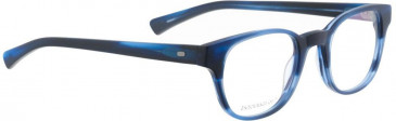 Entourage of 7 HUEY Glasses in Matte Blue Pattern
