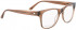 Entourage of 7 NORA Glasses in Clear Brown