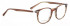 Entourage of 7 ROSECRANS Glasses in Brown