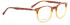 Entourage of 7 ROSECRANS Glasses in Brown