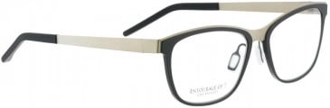 Entourage of 7 VISALIA Glasses in Black