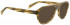 Entourage of 7 FELIX Sunglasses in Tiger Tortoiseshell