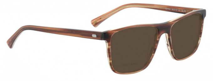 Entourage of 7 GRIFFITH Sunglasses in Brown