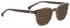 Entourage of 7 HANK-L Sunglasses in Brown
