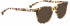 Entourage of 7 HANK-L Sunglasses in Light Brown Pattern