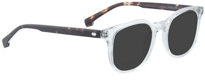 Entourage of 7 HANK-L Sunglasses in Crystal