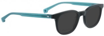 Entourage of 7 HANK-XS Sunglasses in Black