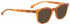 Entourage of 7 HANK-XS Sunglasses in Light Brown