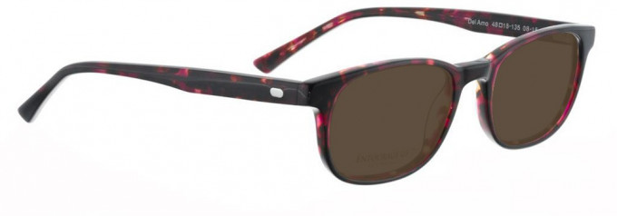 Entourage of 7 DELAMO Sunglasses in Brown