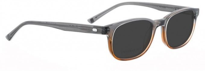 Entourage of 7 DELAMO Sunglasses in Grey