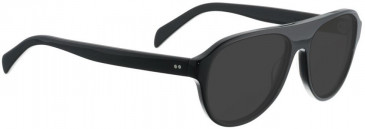 Entourage of 7 FELIX Sunglasses in Black