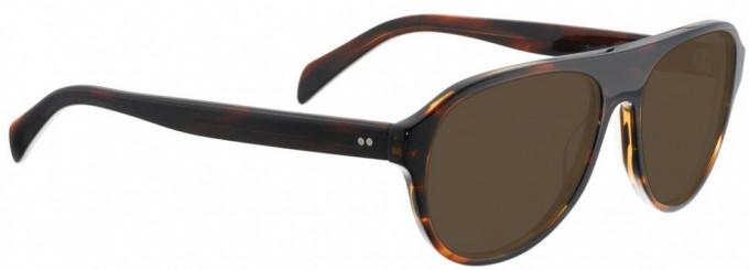 Entourage of 7 FELIX Sunglasses in Dark Tortoiseshell