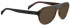 Entourage of 7 FELIX Sunglasses in Dark Tortoiseshell