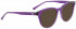 Entourage of 7 GREIR Sunglasses in Purple