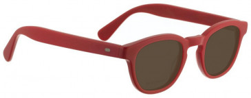 Entourage of 7 Plastic Ready-Made Reading Sunglasses (Small)