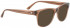 Entourage of 7 NORA Sunglasses in Clear Brown