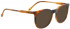 Entourage of 7 RON Sunglasses in Matte Light Tortoiseshell