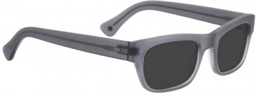 Entourage of 7 ROY Sunglasses in Grey Crystal