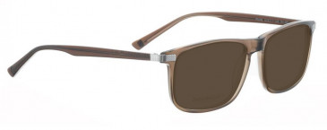 Entourage of 7 Plastic Ready-Made Reading Sunglasses