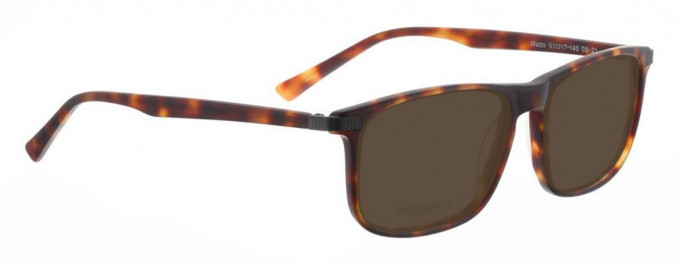Entourage of 7 WATTS Sunglasses in Brown