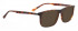 Entourage of 7 WATTS Sunglasses in Brown