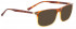 Entourage of 7 WATTS Sunglasses in Brown