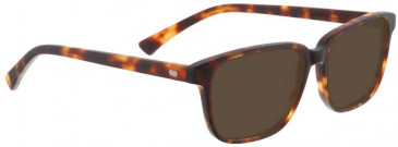 Entourage of 7 GRACE Sunglasses in Brown