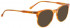 Entourage of 7 RON Sunglasses in Light Tortoiseshell