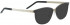 Entourage of 7 MADERA Sunglasses in Brown