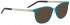 Entourage of 7 MADERA Sunglasses in Turquoise