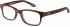 Oneil ONO-MALIBU Glasses in Brown