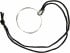 Monocle in Silver