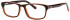 Gola Classics GOLA 17 Glasses in Brown Layers