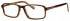Gola Classics GOLA 18 Glasses in Brown/Abstract Check
