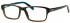 Gola Classics GOLA 11 Glasses in Brown/Orange/Teal