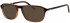 Gola Classics GOLA 1 Sunglasses in Brown/Taupe