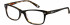 Superdry SDO-15000 Glasses in Gloss Black/Tortoiseshell
