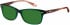 Superdry SDO-15000 Sunglasses in Gloss Green/Brown