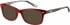 Superdry SDO-15000 Sunglasses in Gloss Red/Grey