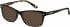 Superdry SDO-15000 Sunglasses in Gloss Black/Tortoiseshell