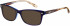 Superdry SDO-15000 Sunglasses in Gloss Blue/Grey