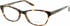 Oasis Gilliflower glasses in Brown