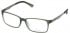 Police V1975 Glasses in Semi Matt Transparent Grey-Green