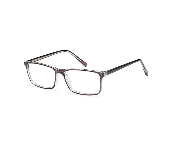 SFE-9602 glasses in Grey 
