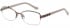 SFE-9649 glasses in Bronze 