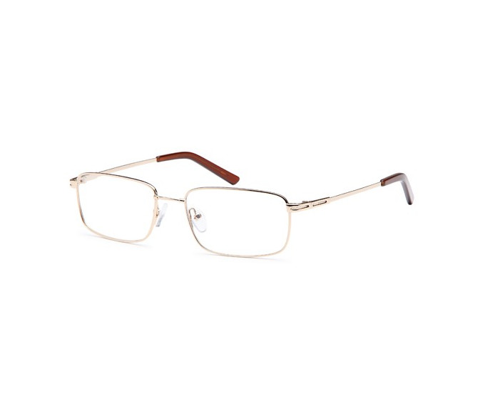 SFE-9560 glasses in Gold 