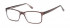 SFE-9613 glasses in Grey 